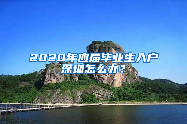 2020年應(yīng)屆畢業(yè)生入戶深圳怎么辦？