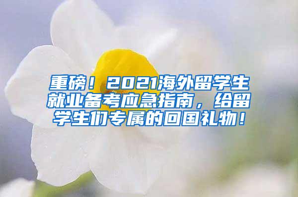 重磅！2021海外留學(xué)生就業(yè)備考應(yīng)急指南，給留學(xué)生們專屬的回國禮物！