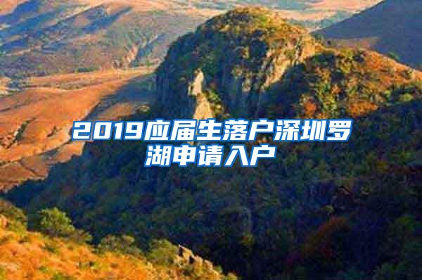 2019應(yīng)屆生落戶深圳羅湖申請(qǐng)入戶