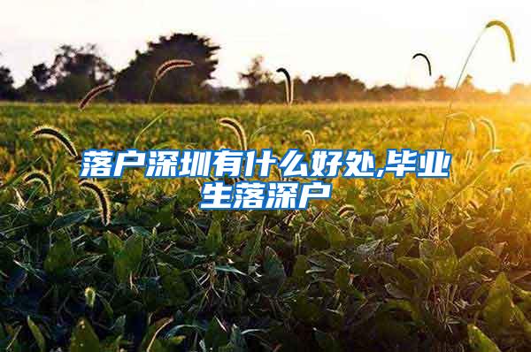 落戶深圳有什么好處,畢業(yè)生落深戶