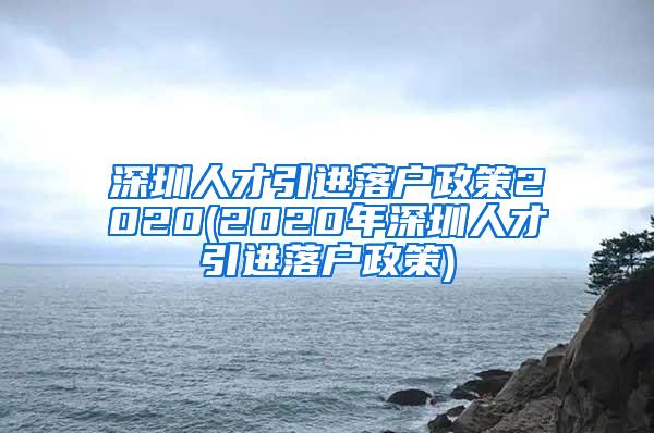 深圳人才引進落戶政策2020(2020年深圳人才引進落戶政策)