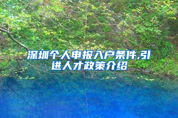 深圳個人申報入戶條件,引進人才政策介紹