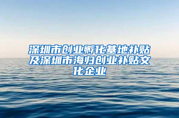 深圳市創(chuàng)業(yè)孵化基地補貼及深圳市海歸創(chuàng)業(yè)補貼文化企業(yè)