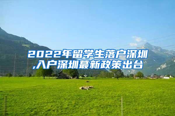 2022年留學生落戶深圳,入戶深圳蕞新政策出臺