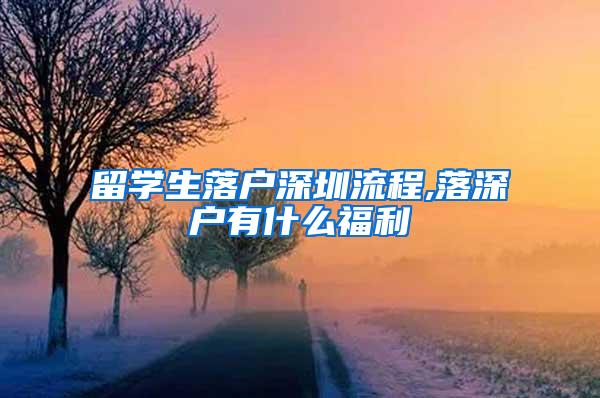 留學(xué)生落戶深圳流程,落深戶有什么福利