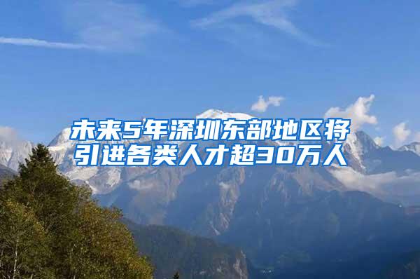 未來(lái)5年深圳東部地區(qū)將引進(jìn)各類人才超30萬(wàn)人