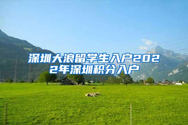 深圳大浪留學(xué)生入戶2022年深圳積分入戶