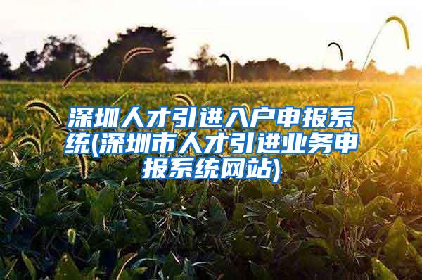 深圳人才引進(jìn)入戶申報(bào)系統(tǒng)(深圳市人才引進(jìn)業(yè)務(wù)申報(bào)系統(tǒng)網(wǎng)站)