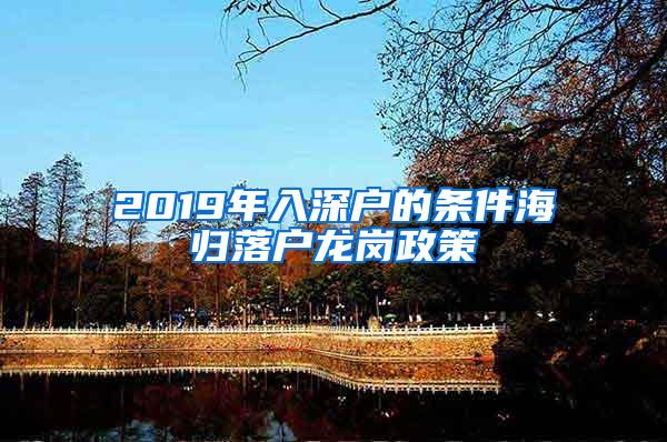 2019年入深戶的條件海歸落戶龍崗政策