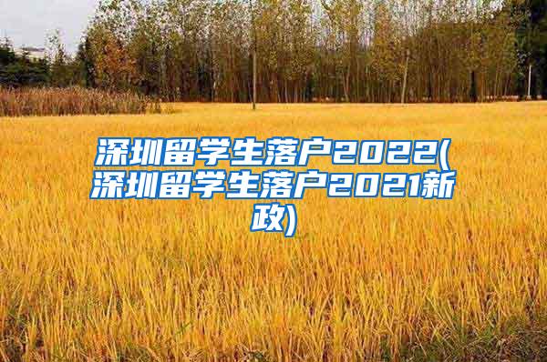 深圳留學(xué)生落戶2022(深圳留學(xué)生落戶2021新政)