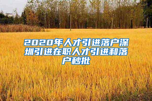 2020年人才引進(jìn)落戶深圳引進(jìn)在職人才引進(jìn)和落戶秒批