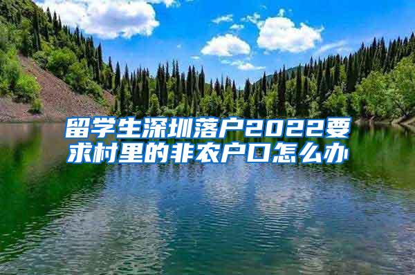 留學(xué)生深圳落戶2022要求村里的非農(nóng)戶口怎么辦