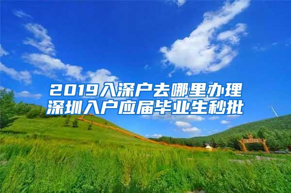 2019入深戶去哪里辦理深圳入戶應(yīng)屆畢業(yè)生秒批