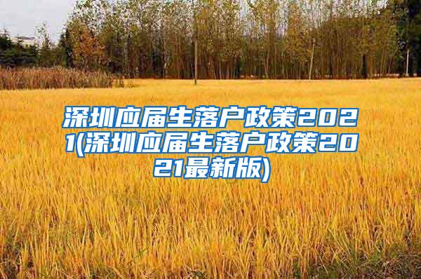 深圳應(yīng)屆生落戶政策2021(深圳應(yīng)屆生落戶政策2021最新版)