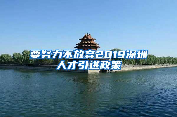 要努力不放棄2019深圳人才引進(jìn)政策