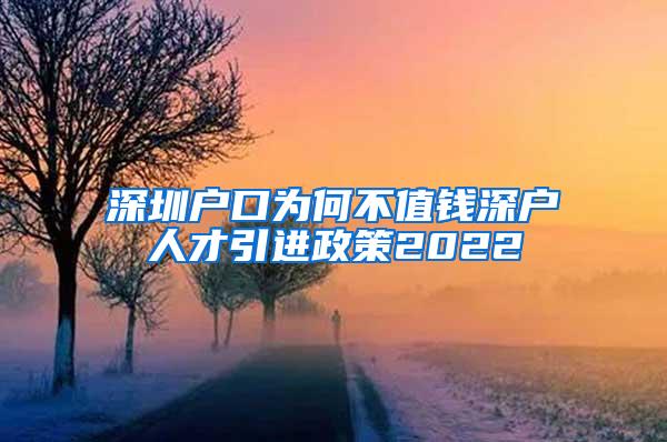 深圳戶口為何不值錢(qián)深戶人才引進(jìn)政策2022