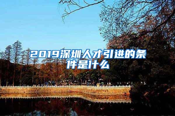 2019深圳人才引進(jìn)的條件是什么