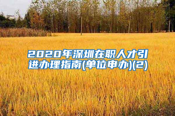 2020年深圳在職人才引進(jìn)辦理指南(單位申辦)(2)