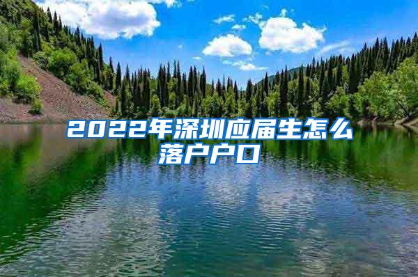 2022年深圳應(yīng)屆生怎么落戶戶口