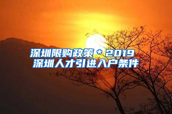 深圳限購政策＊2019 深圳人才引進(jìn)入戶條件