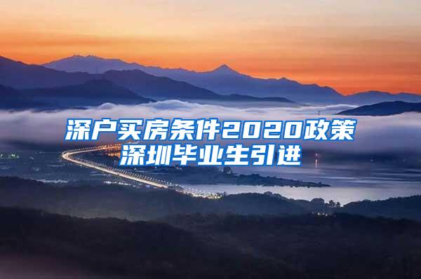 深戶買房條件2020政策深圳畢業(yè)生引進(jìn)