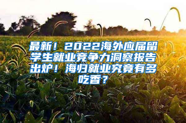 最新！2022海外應(yīng)屆留學(xué)生就業(yè)競爭力洞察報(bào)告出爐！海歸就業(yè)究竟有多吃香？