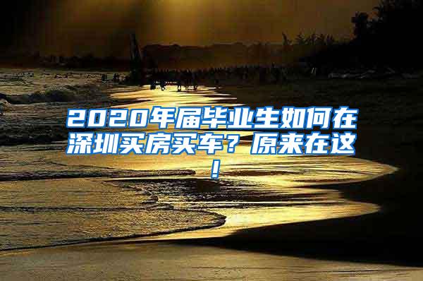 2020年屆畢業(yè)生如何在深圳買房買車？原來在這！