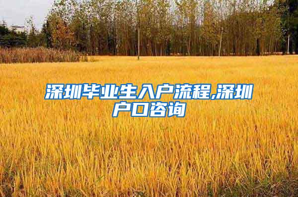 深圳畢業(yè)生入戶流程,深圳戶口咨詢