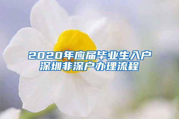 2020年應(yīng)屆畢業(yè)生入戶深圳非深戶辦理流程