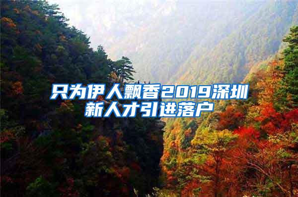 只為伊人飄香2019深圳新人才引進落戶