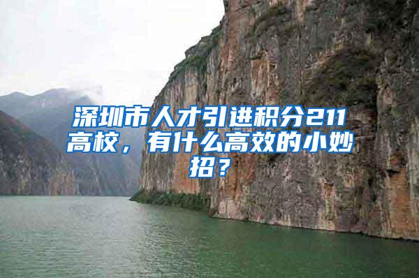 深圳市人才引進(jìn)積分211高校，有什么高效的小妙招？