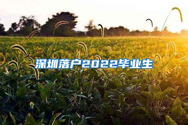 深圳落戶2022畢業(yè)生