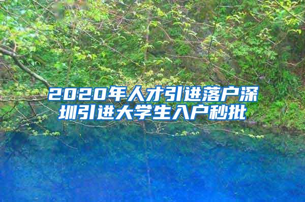 2020年人才引進(jìn)落戶深圳引進(jìn)大學(xué)生入戶秒批