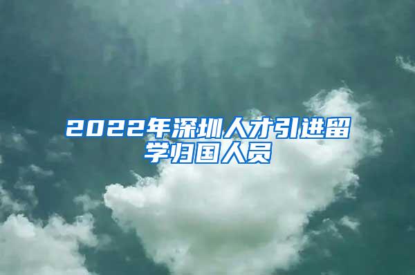 2022年深圳人才引進留學(xué)歸國人員