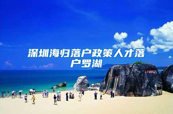 深圳海歸落戶政策人才落戶羅湖