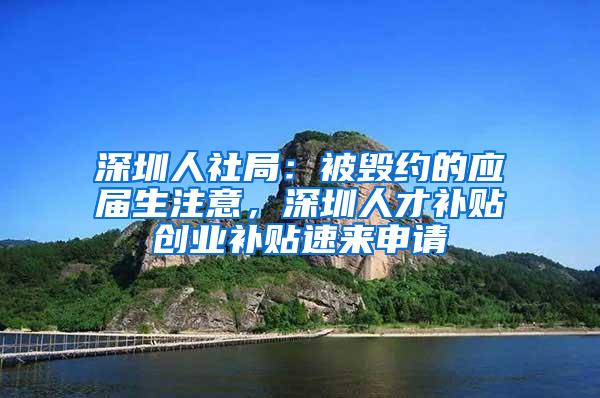 深圳人社局：被毀約的應(yīng)屆生注意，深圳人才補貼創(chuàng)業(yè)補貼速來申請