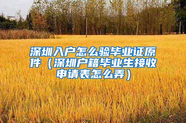 深圳入戶怎么驗畢業(yè)證原件（深圳戶籍畢業(yè)生接收申請表怎么弄）