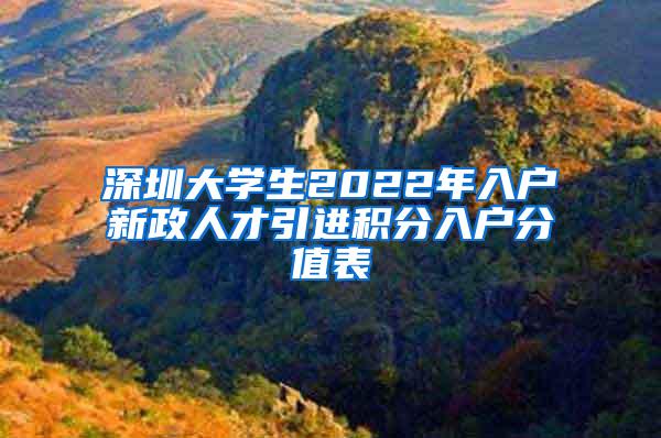 深圳大學(xué)生2022年入戶新政人才引進(jìn)積分入戶分值表