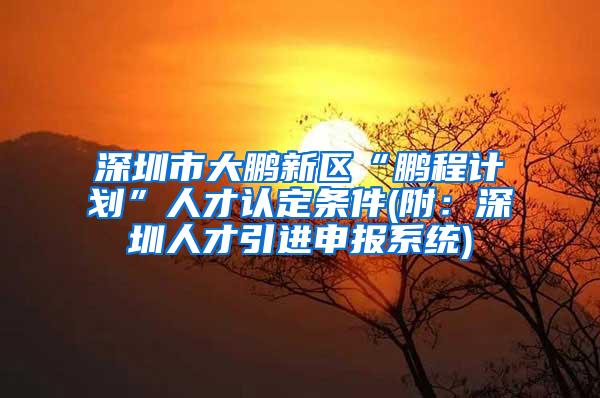 深圳市大鵬新區(qū)“鵬程計劃”人才認定條件(附：深圳人才引進申報系統(tǒng))