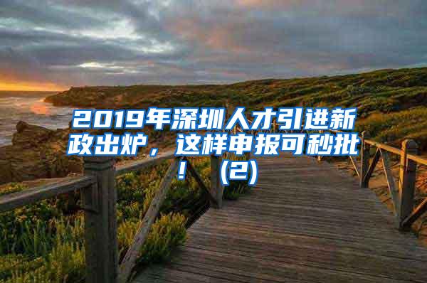 2019年深圳人才引進(jìn)新政出爐，這樣申報(bào)可秒批！ (2)