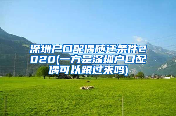 深圳戶口配偶隨遷條件2020(一方是深圳戶口配偶可以跟過來嗎)