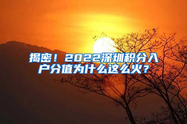 揭密！2022深圳積分入戶分值為什么這么火？