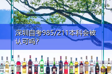 深圳自考985/211本科會被認可嗎？