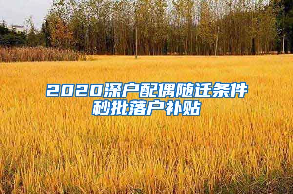 2020深戶配偶隨遷條件秒批落戶補(bǔ)貼