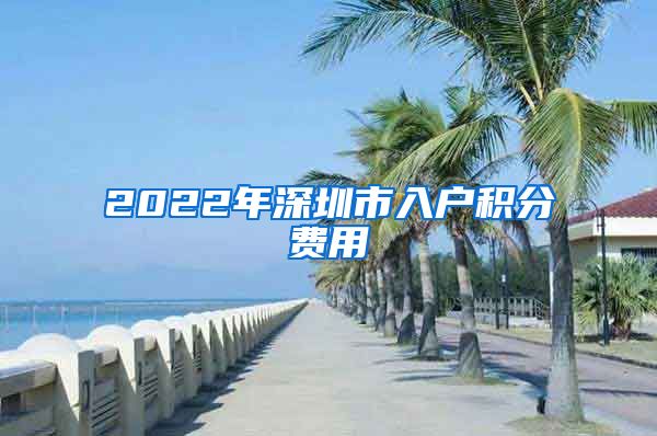 2022年深圳市入戶積分費用