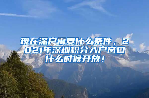 現(xiàn)在深戶需要什么條件，2021年深圳積分入戶窗口什么時候開放！