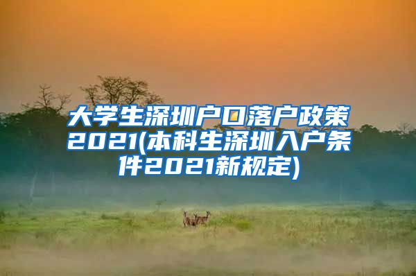 大學(xué)生深圳戶口落戶政策2021(本科生深圳入戶條件2021新規(guī)定)