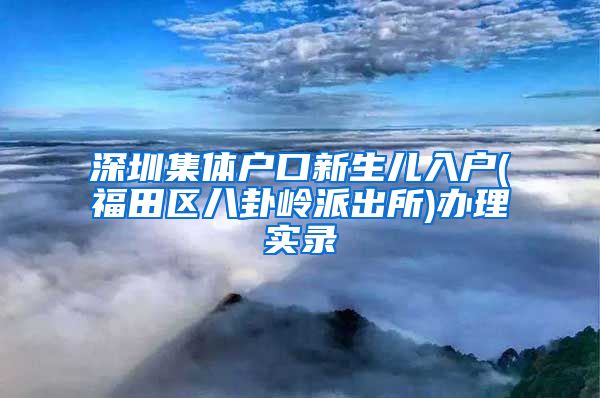 深圳集體戶口新生兒入戶(福田區(qū)八卦嶺派出所)辦理實錄