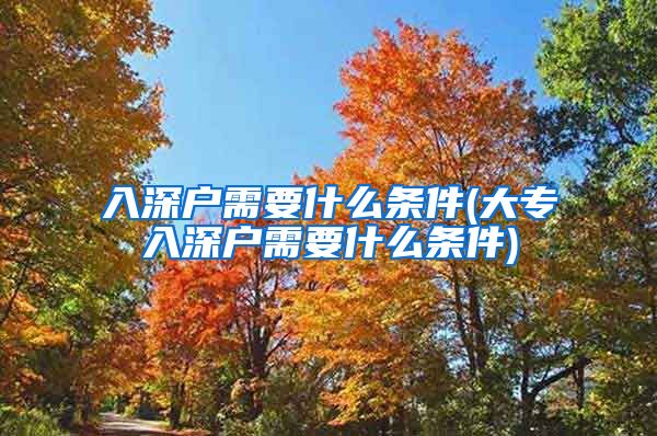 入深戶需要什么條件(大專入深戶需要什么條件)