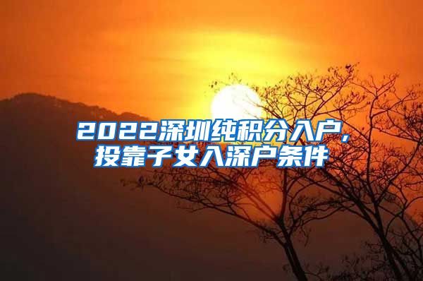 2022深圳純積分入戶,投靠子女入深戶條件